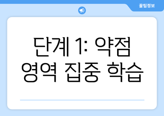 단계 1: 약점 영역 집중 학습