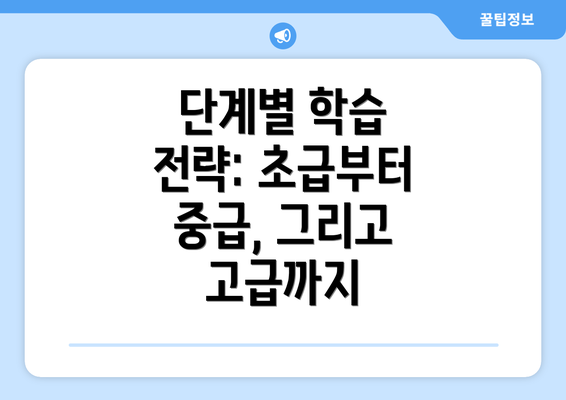 단계별 학습 전략: 초급부터 중급, 그리고 고급까지