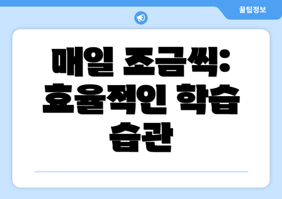 매일 조금씩: 효율적인 학습 습관