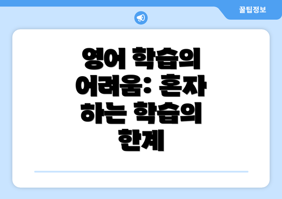 영어 학습의 어려움: 혼자 하는 학습의 한계