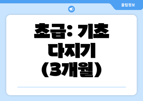 초급: 기초 다지기 (3개월)