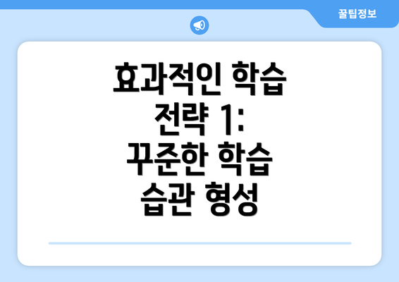 효과적인 학습 전략 1: 꾸준한 학습 습관 형성