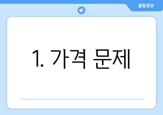 1. 가격 문제