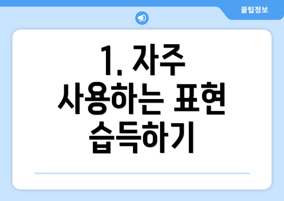 1. 자주 사용하는 표현 습득하기