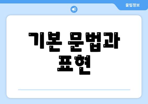 기본 문법과 표현