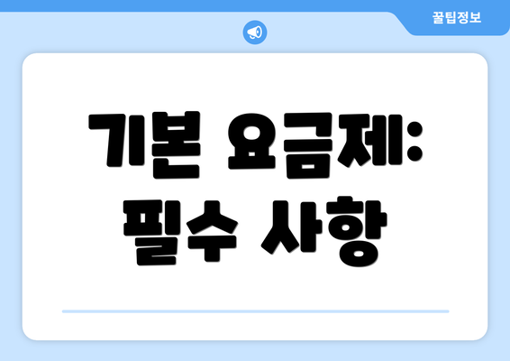 기본 요금제: 필수 사항