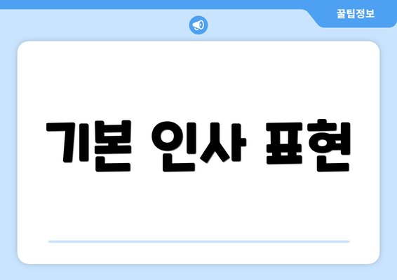 기본 인사 표현