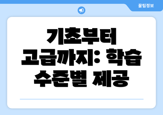기초부터 고급까지: 학습 수준별 제공