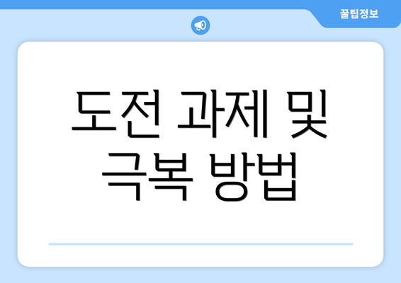 도전 과제 및 극복 방법