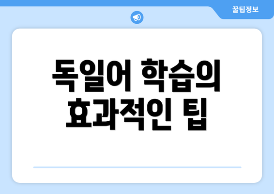 독일어 학습의 효과적인 팁