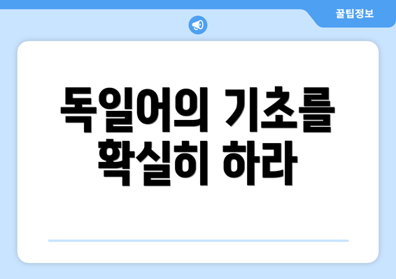 독일어의 기초를 확실히 하라