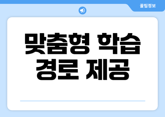 맞춤형 학습 경로 제공