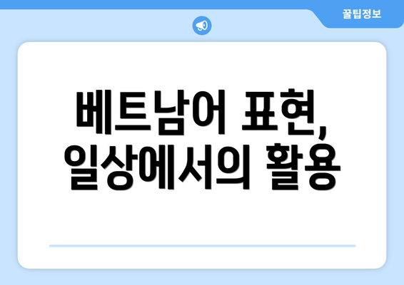 베트남어 표현, 일상에서의 활용