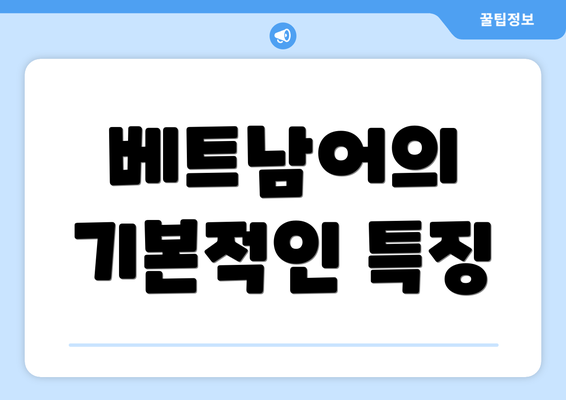 베트남어의 기본적인 특징
