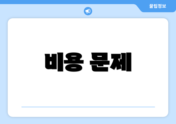 비용 문제