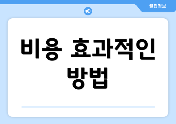 비용 효과적인 방법