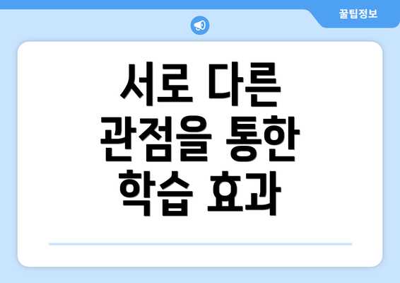 서로 다른 관점을 통한 학습 효과