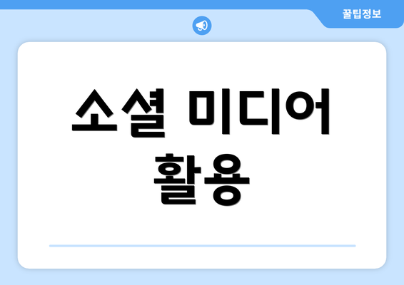 소셜 미디어 활용