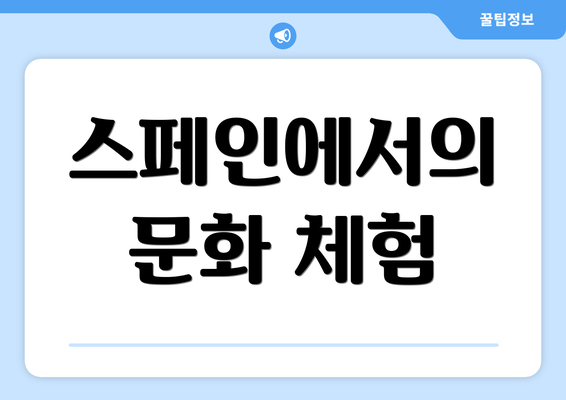 스페인에서의 문화 체험