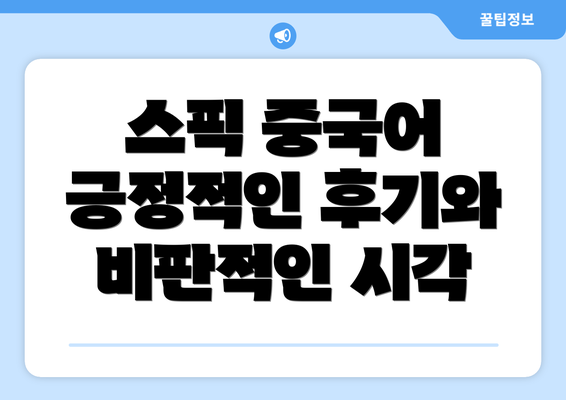 스픽 중국어 긍정적인 후기와 비판적인 시각