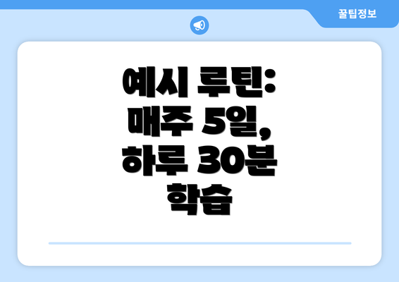 예시 루틴: 매주 5일, 하루 30분 학습