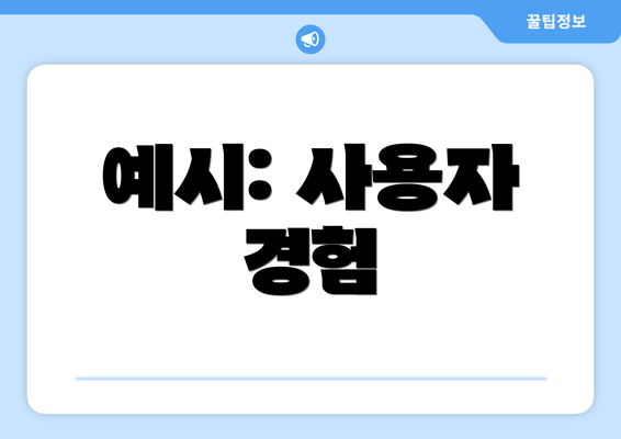 예시: 사용자 경험