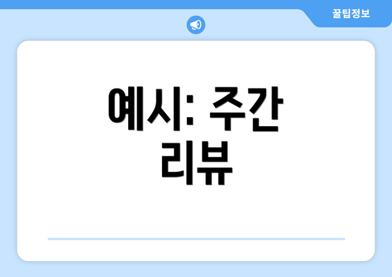 예시: 주간 리뷰