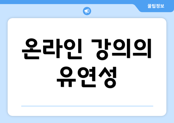 온라인 강의의 유연성