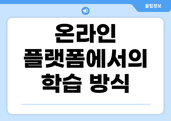 온라인 플랫폼에서의 학습 방식
