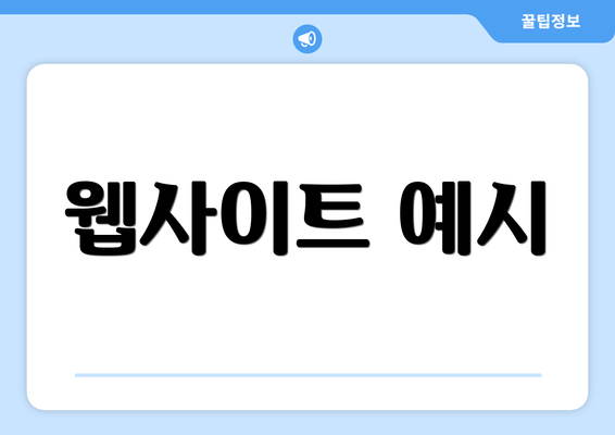 웹사이트 예시