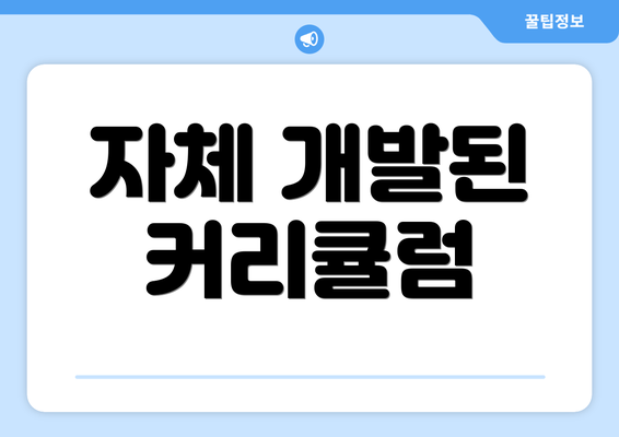 자체 개발된 커리큘럼