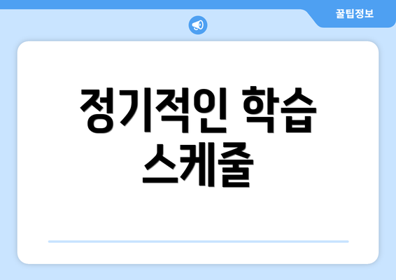 정기적인 학습 스케줄