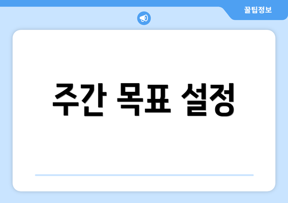 주간 목표 설정