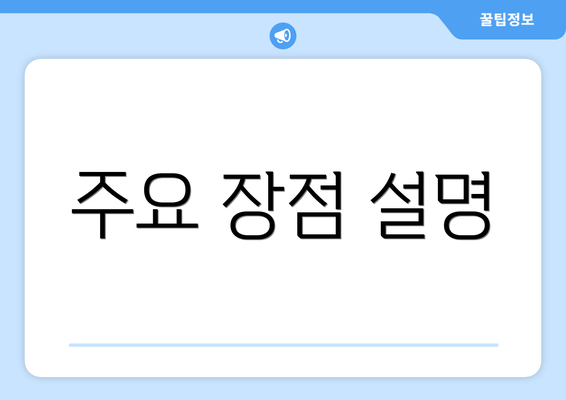 주요 장점 설명