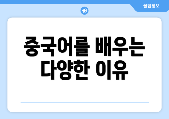 중국어를 배우는 다양한 이유