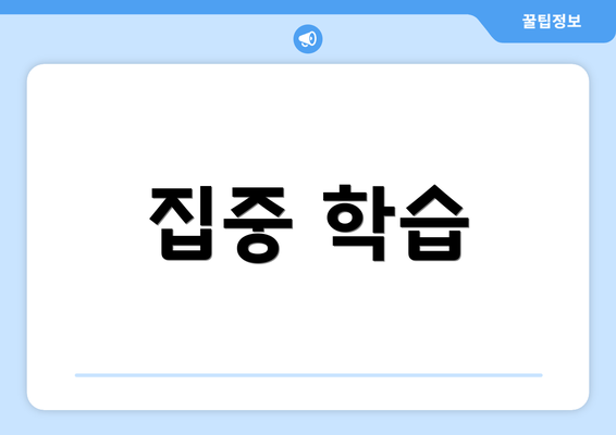 집중 학습