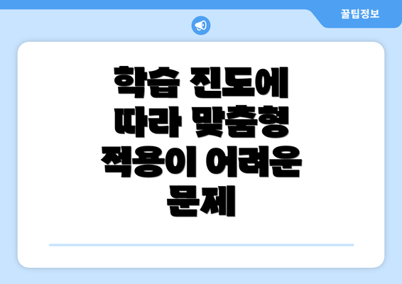 학습 진도에 따라 맞춤형 적용이 어려운 문제