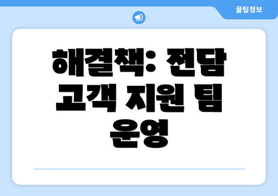 해결책: 전담 고객 지원 팀 운영