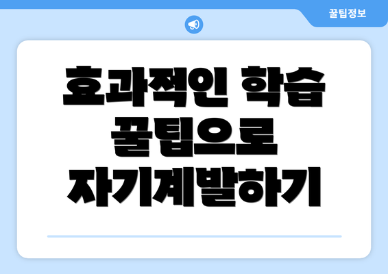 효과적인 학습 꿀팁으로 자기계발하기