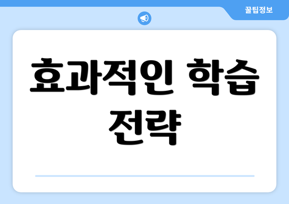 효과적인 학습 전략