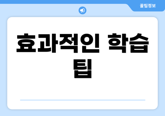 효과적인 학습 팁