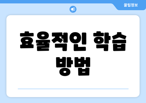 효율적인 학습 방법