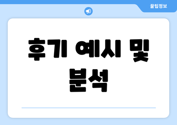 후기 예시 및 분석