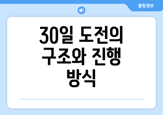 30일 도전의 구조와 진행 방식