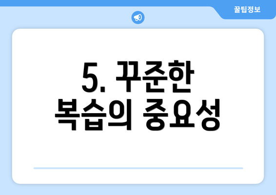 5. 꾸준한 복습의 중요성