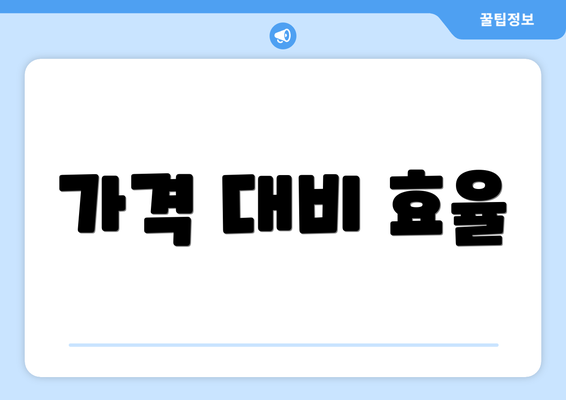 가격 대비 효율