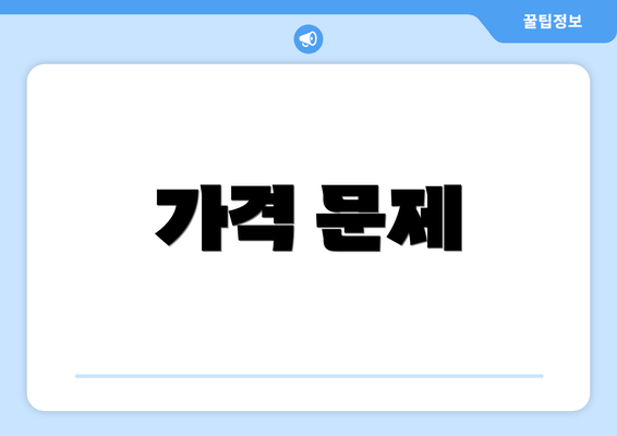 가격 문제