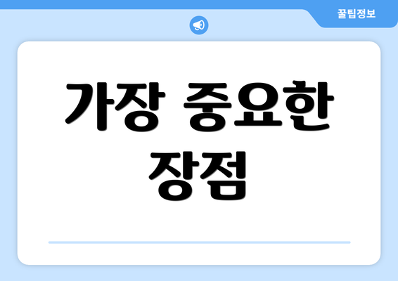 가장 중요한 장점