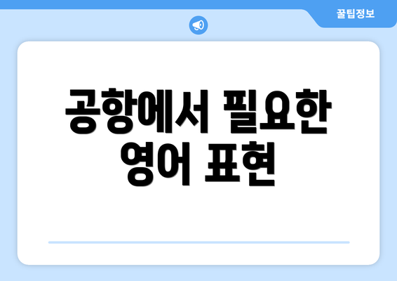 공항에서 필요한 영어 표현