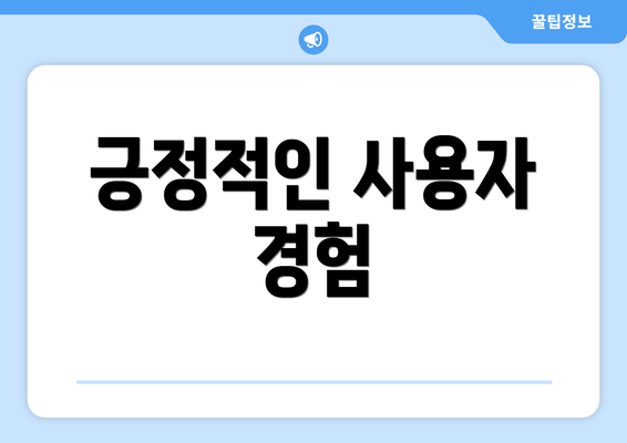 긍정적인 사용자 경험